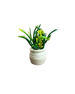 Plant with Yellow Flower in Cream Pot