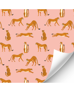 Cheetah Print Wallpaper (Discontinued)