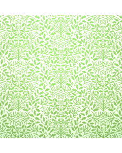 DIY221A - Acorns Wallpaper Green / White