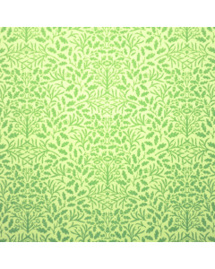 DIY221F - Acorns Wallpaper Green and Cream