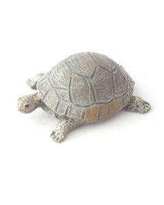 D977 - Tortoise