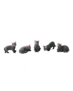 DA010 - 5 Black Cats