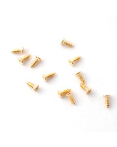 DIY492 4mm Brass Screws (12)