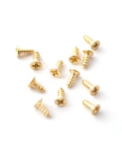 DIY493 6mm Brass Screws (12)