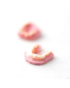 DM-DS15 - 1:12 Scale Set of Dentures