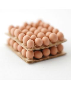 DM-F179 - Egg Trays with Eggs