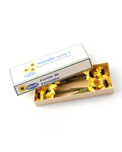 DM-PC248 - Sunflowers in Printed Carton