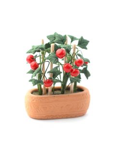 E4951 - Juicy Tomato Plant in a Pot