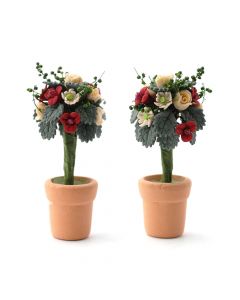 E6528 - Two Standard Roses in Pots.