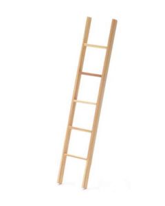 T8444 Ladder