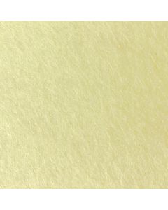 CAXN01 - Natural Light Cream Soft Cream Carpet