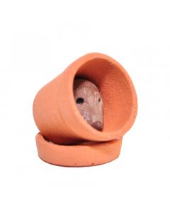 CP150 Hedgehog in a Clay Pot