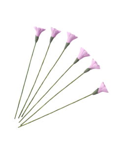 D3323 Single Mauve Daisies- pack of 6