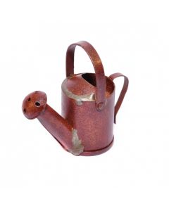 D3373 - Rusty Watering Can