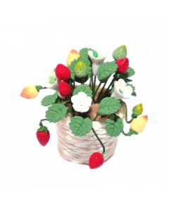 D4125 - Potted Strawberry Plant