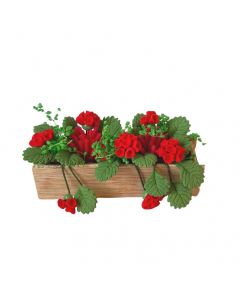 D4200 - Window Box with trailing Geraniums
