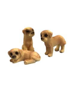 Golden Labrador Puppy, Pack of 3 (DA028)