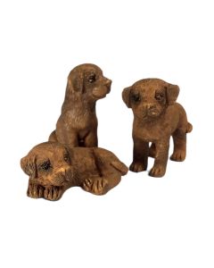 Chocolate Labrador Puppy, Pack of 3 (DA029)