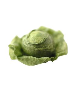 DM-F132 - Cabbage