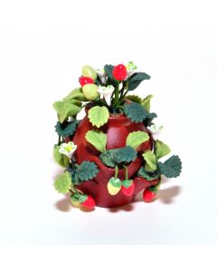 E5578 - Strawberry Plants in a Pot