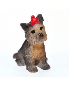 E5605 - Boo the Yorkshire Terrier Dog