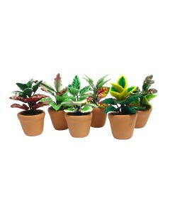 D3796 - Plants in Pots  (Set of 6 assorted designs)