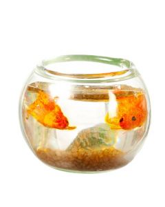 G7777 - Fishbowl with Goldfish
