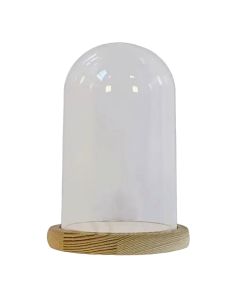 Plastic Cloche – 10 X 16cm (H-PMA110908)