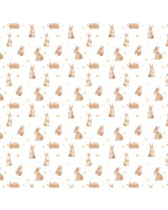 R013 - Rabbit Wallpaper