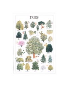 MS113 - Poster- Trees