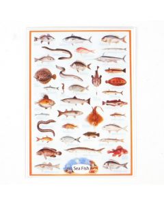 MS115 - Poster- Sea Fish