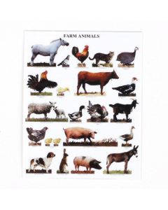 MS125 - Poster- Farm Animals