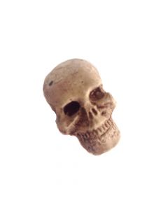 MS186 - 1:12 Scale Skull