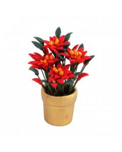 E2903 - Poinsettia Plant