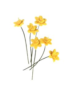 Spring Daffodils, 6 Pcs (E3850)