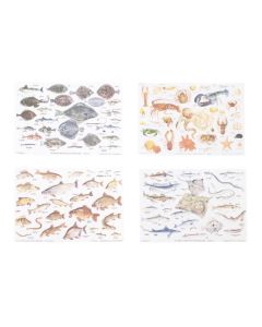 DM-S466 - Set of 4 Fish Posters