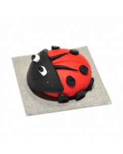 DM-CC1 Ladybird Cake