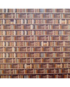 E3596 - Traditional Bookcase Wallpaper