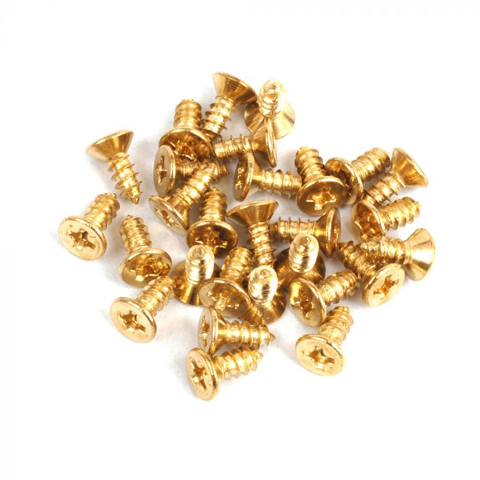 Gold Miniature Hinges with Screws with Screws